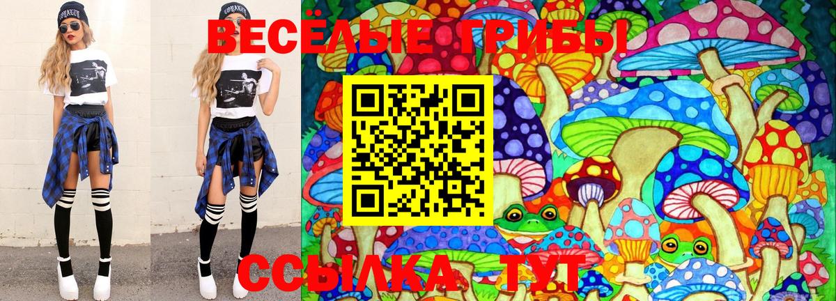 Галлюциногенные грибы Magic Shrooms  Вход с VPN  Можайск 